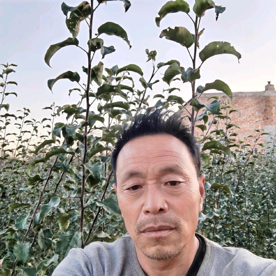 老百姓服务平台