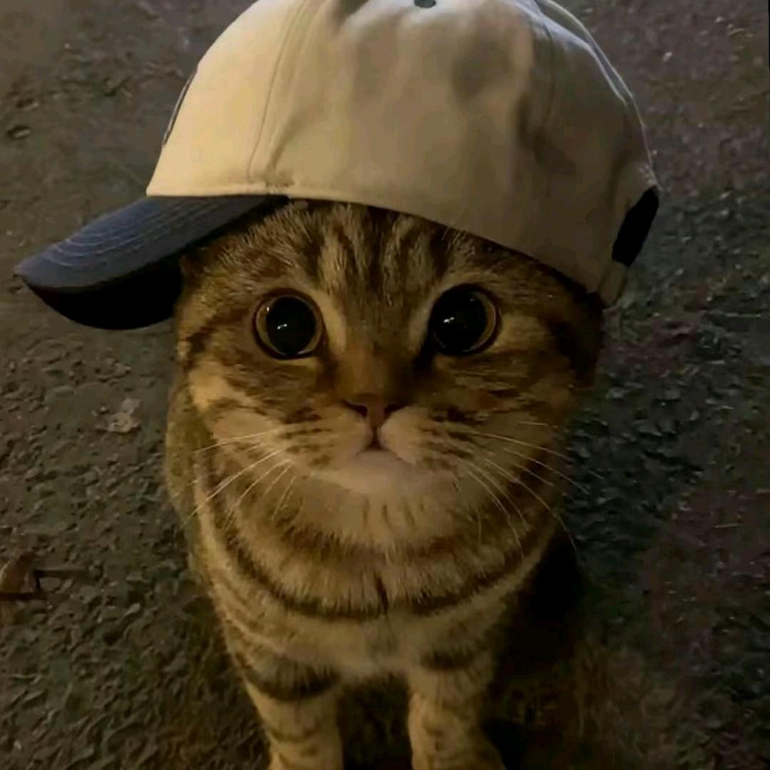 最钟意