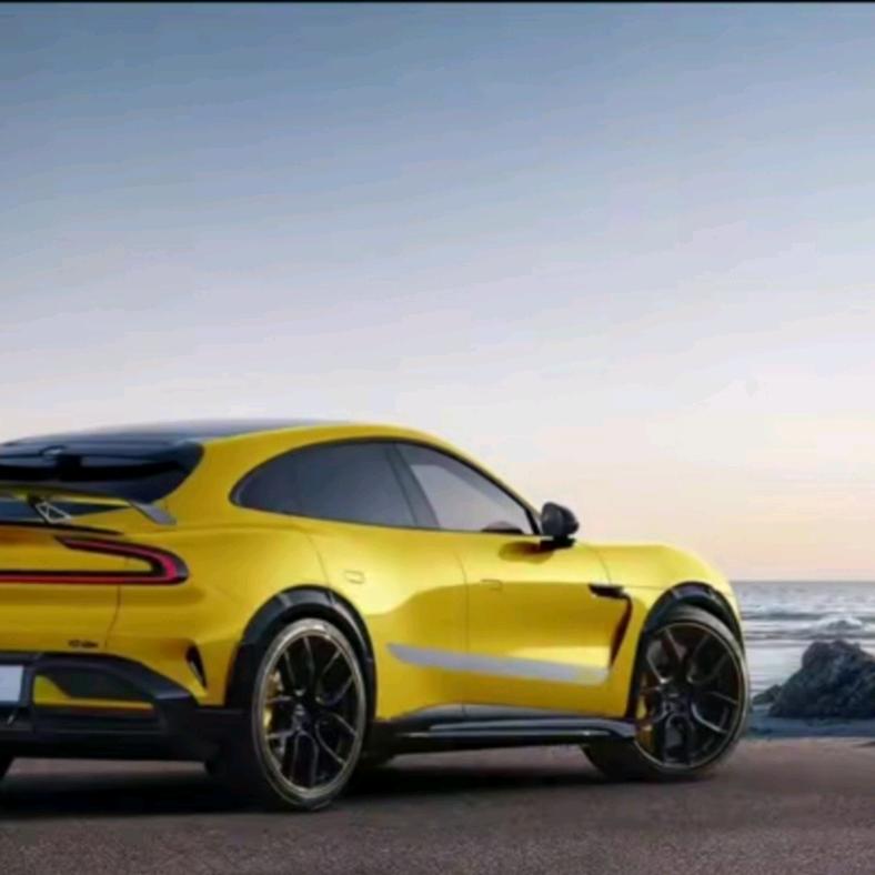 金牌运营陪跑✌🏼