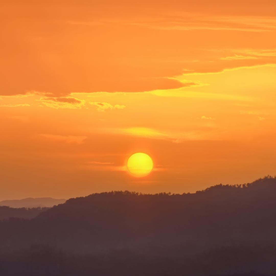 青青子衿，悠悠我心