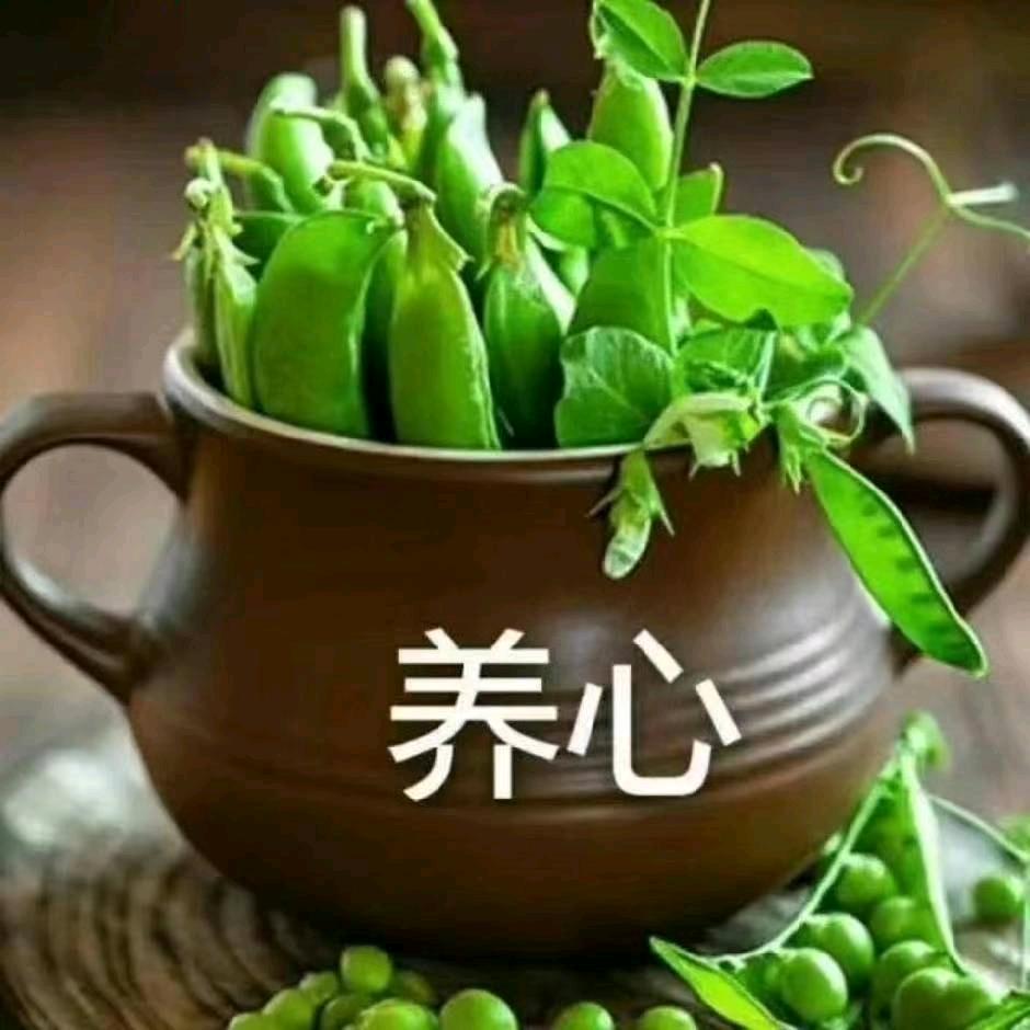 养心5582304345138
