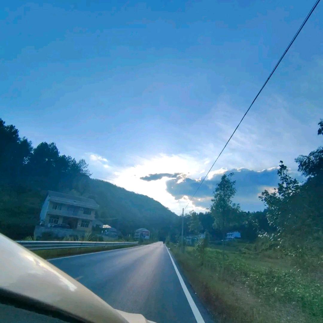 哈雷