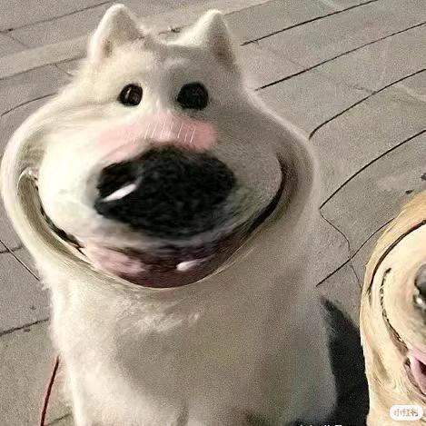 漫
