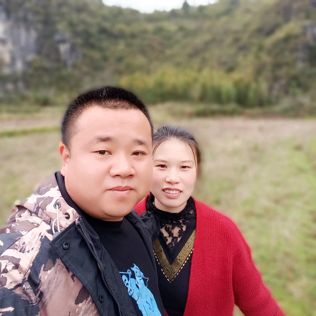 杨巅峰《业辉》