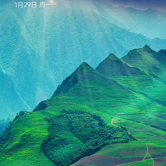振翰