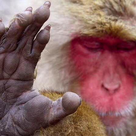 梦想✔