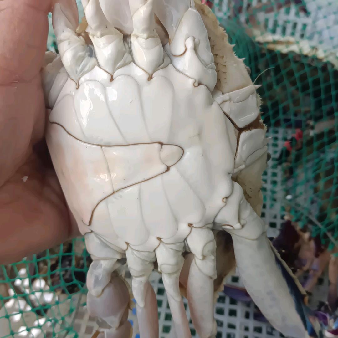 春玲海鲜店
