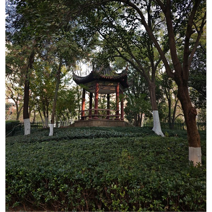 随便看看看