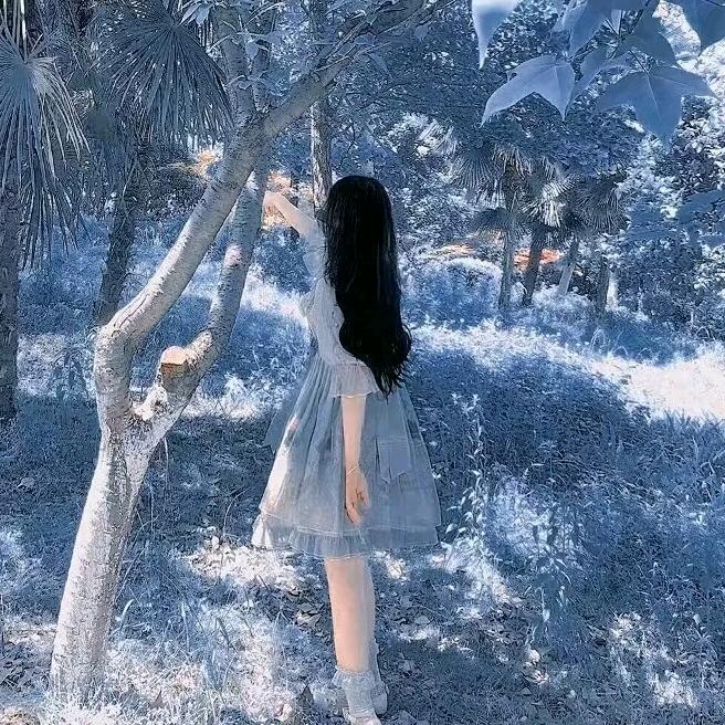 桉年.