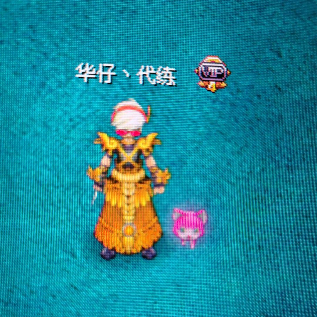 QQ自由幻想华仔专业带升级