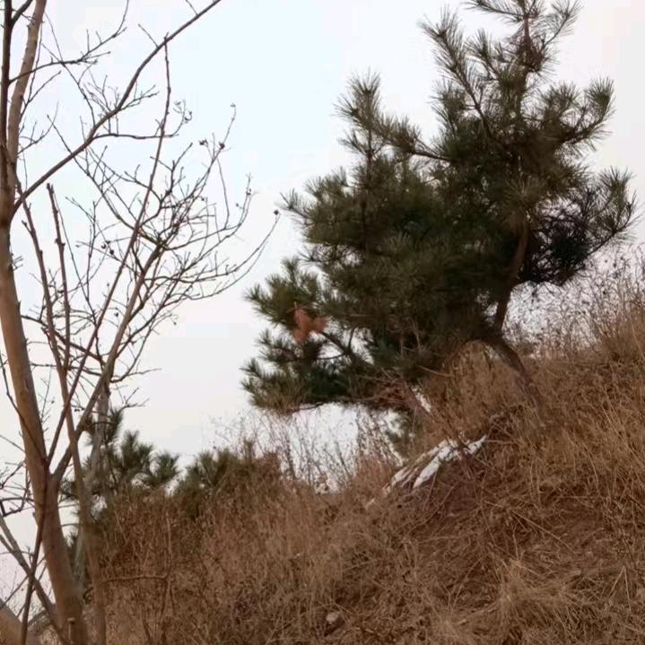 时光回忆
