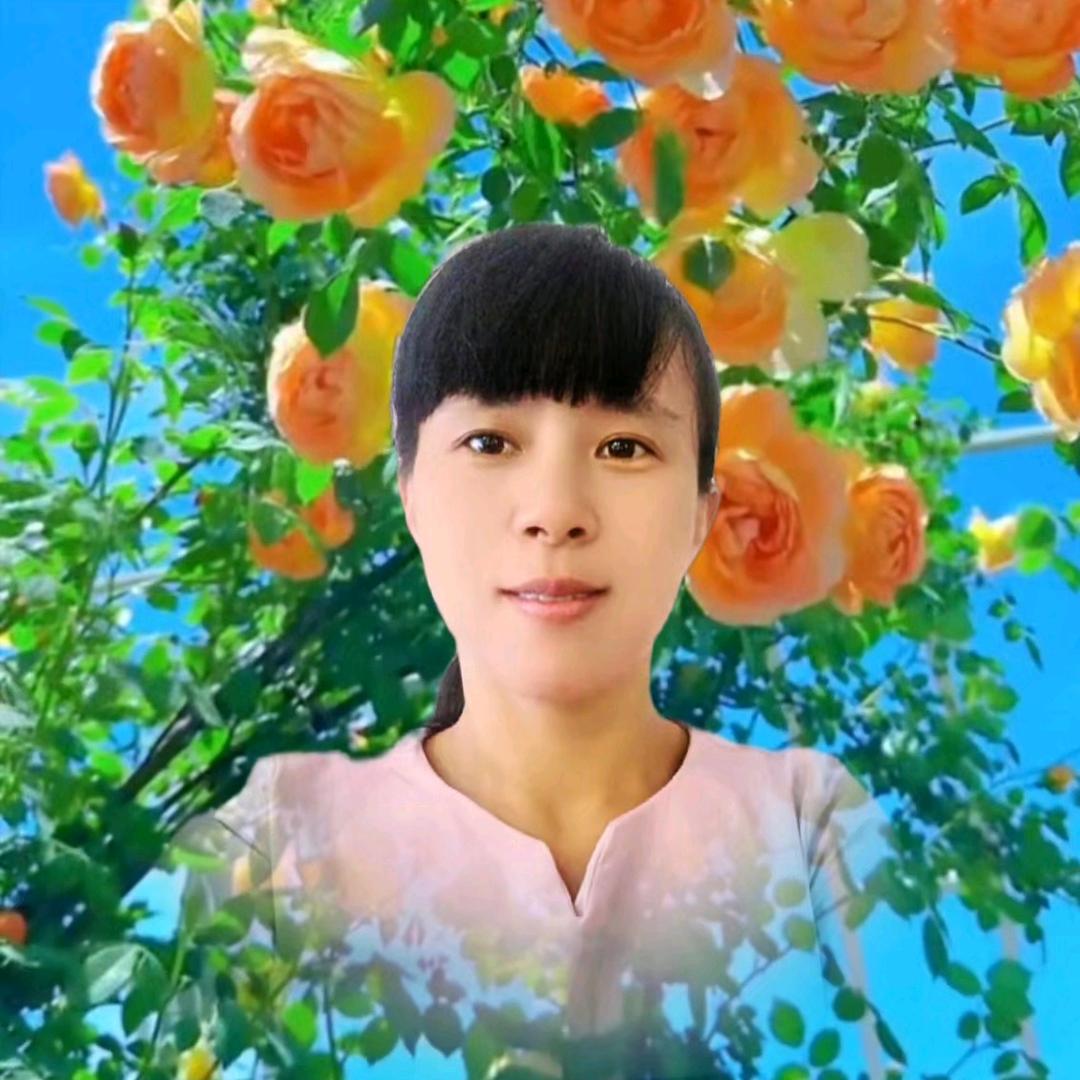 龙女