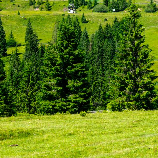 人在他乡（货运）