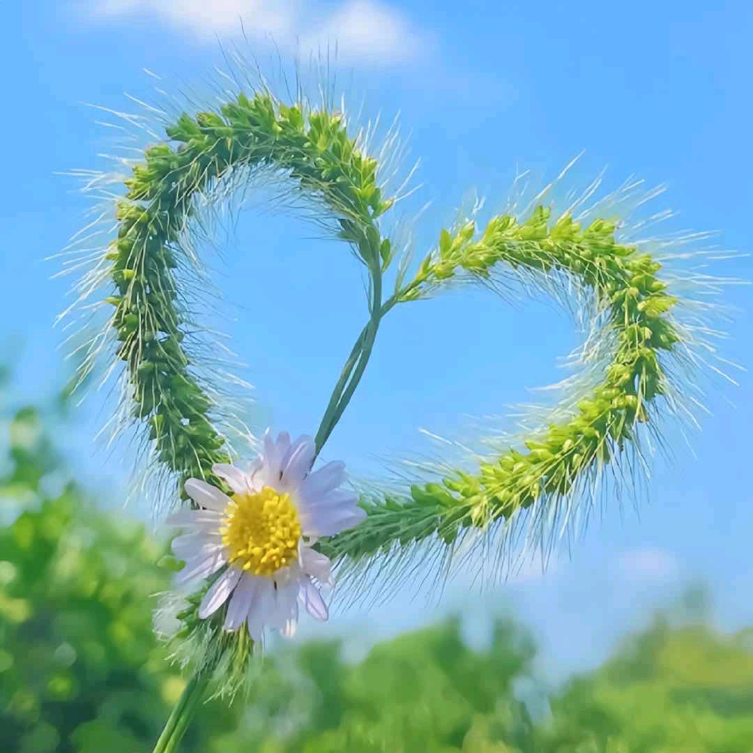 ꧁ 不发脾气，只发财💥꧂