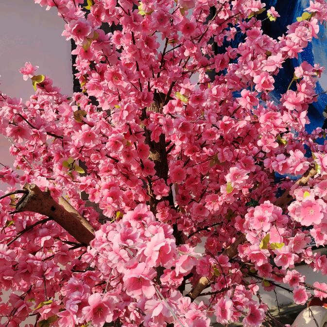 微微一笑@专业清洗油烟管道