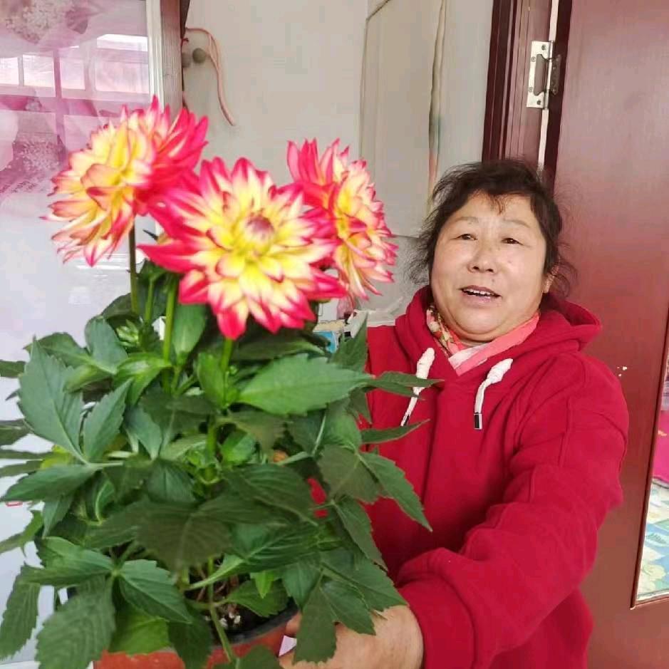美好的明天