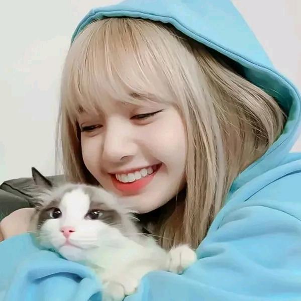 ★仙女不讲情★