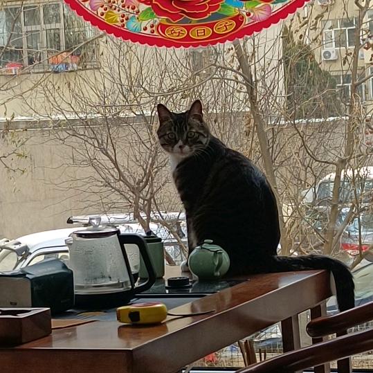 🍒东东日常百货分享🍒