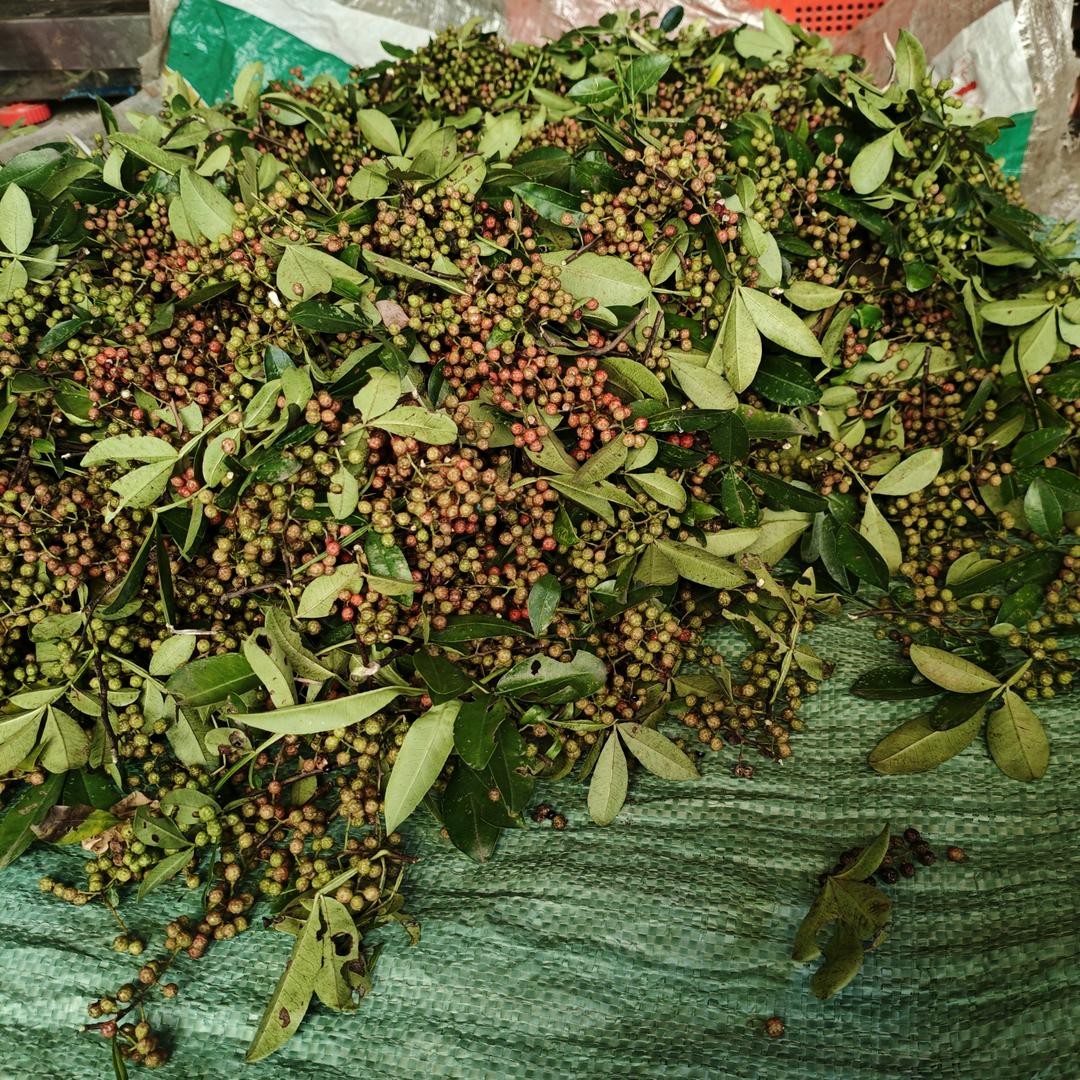 不谈从前，不说如果