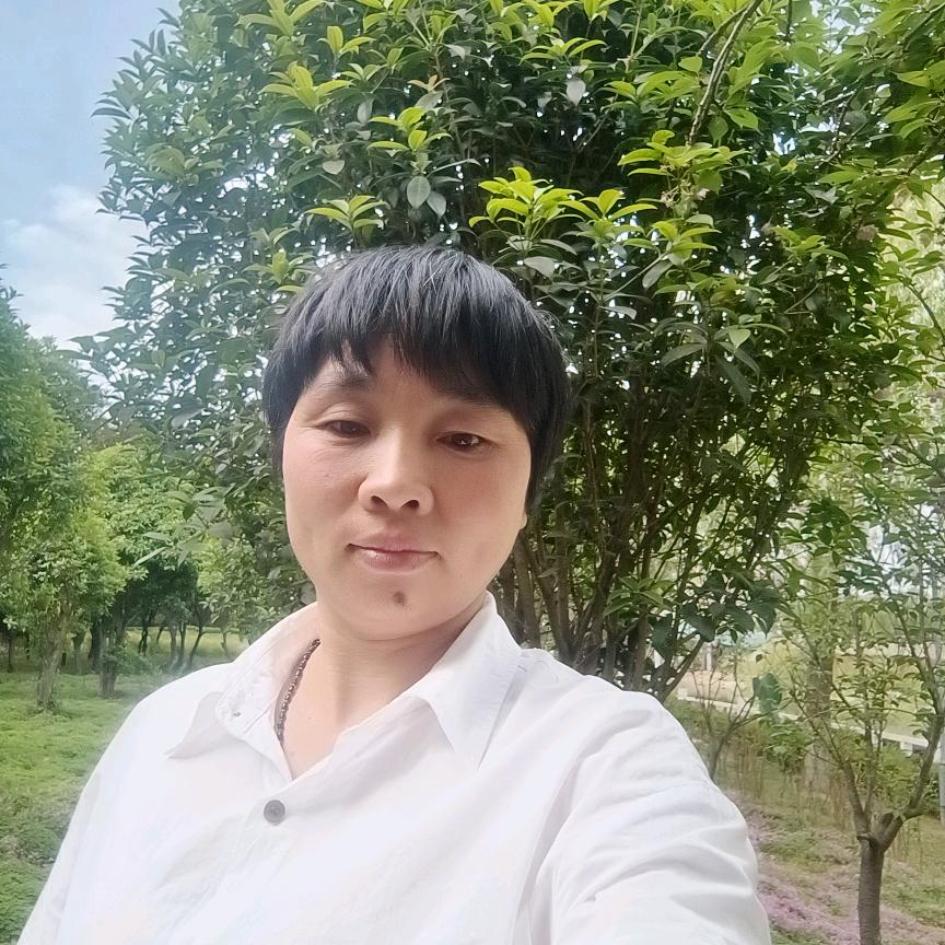 园姐