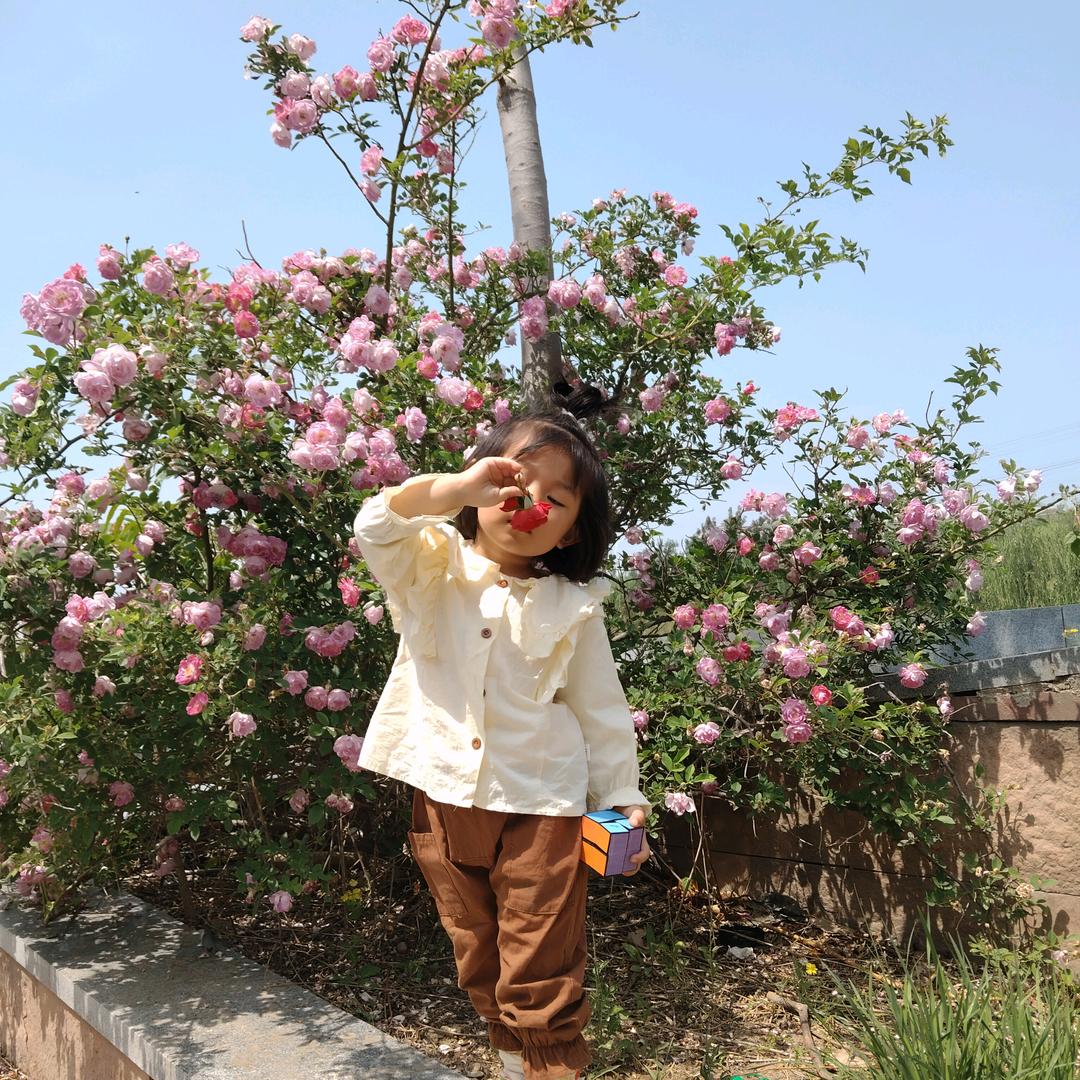 小悦悦