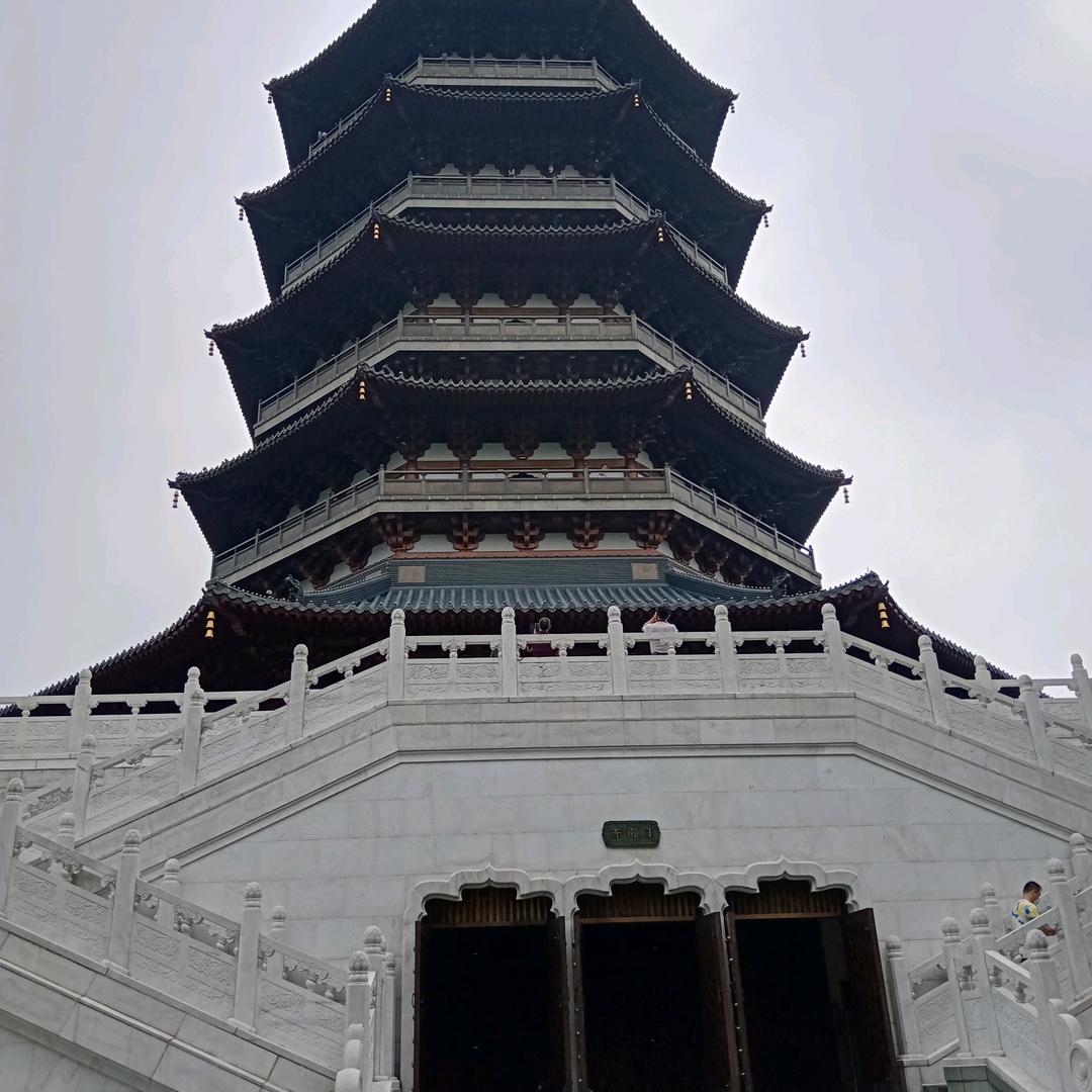 农村小阳