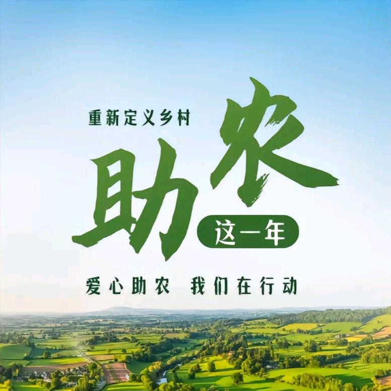 村干部助农-段超