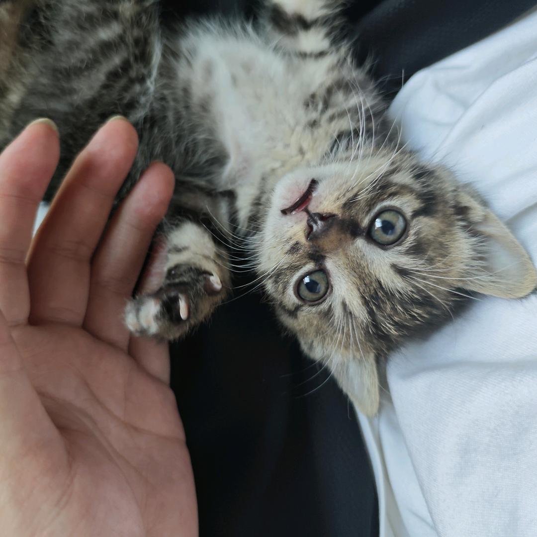 诗和远方，风景和你