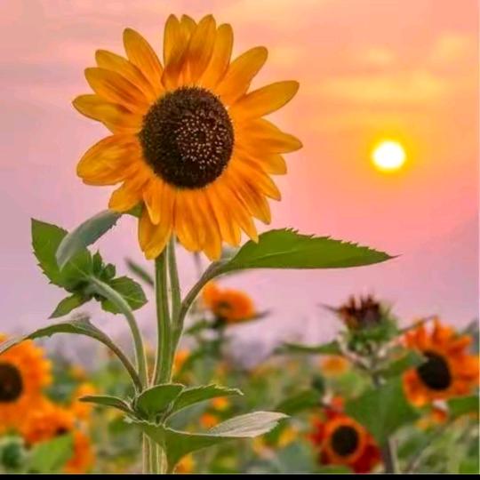 ⛵ོ࿆༘碧海蓝天☁