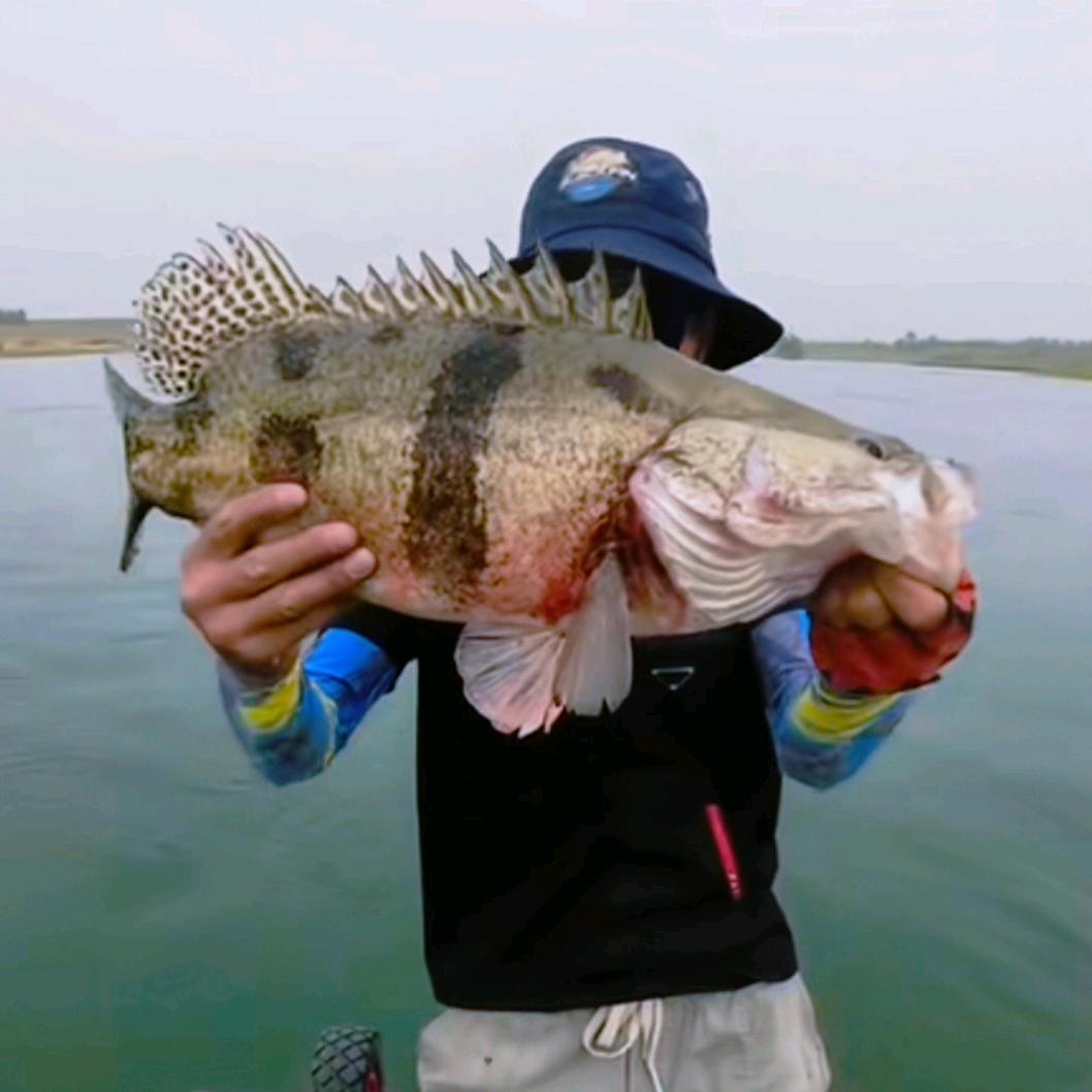@陶子路亚🎣