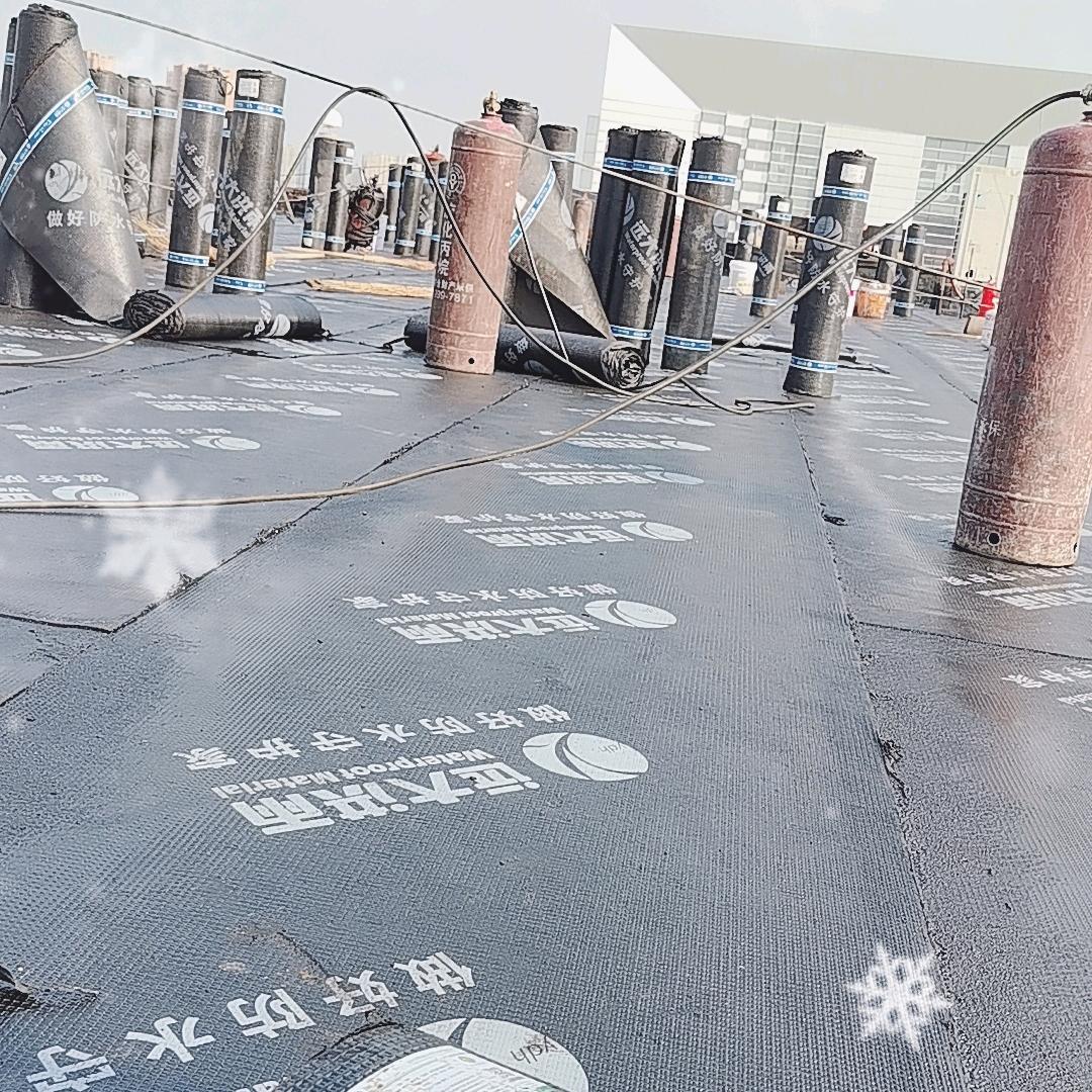 雨虹防水  专业施工赵