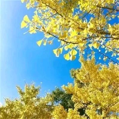 往事如烟珍惜当下