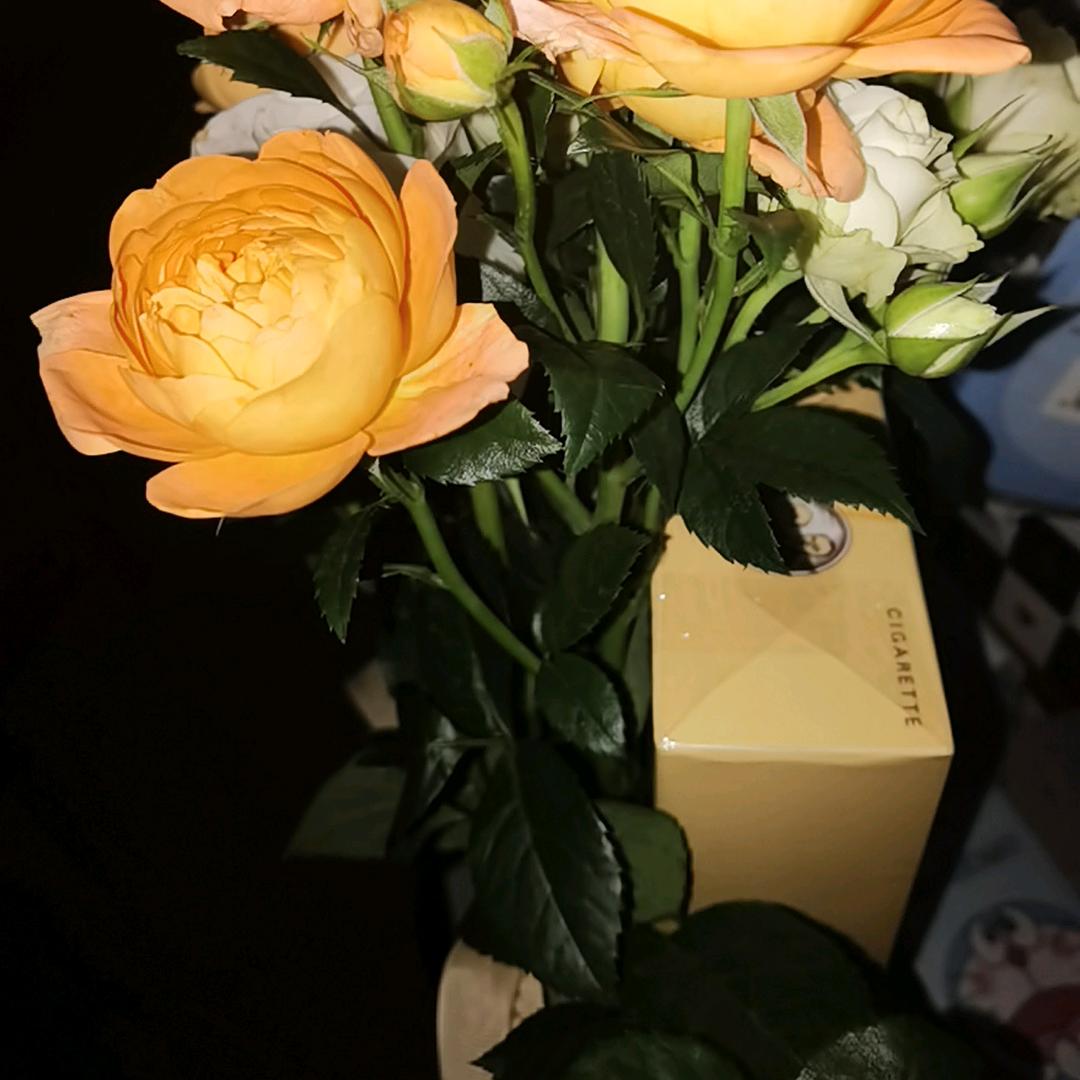 🥀小野猫❤️🐈ོ࿐ᩚ