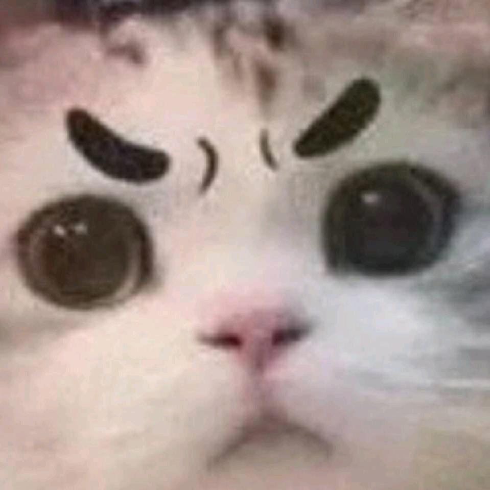 回头看