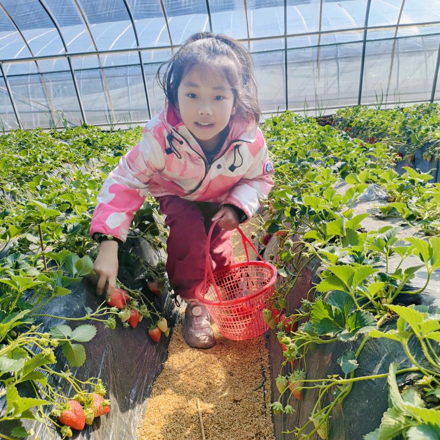 火凤凰♥王果儿