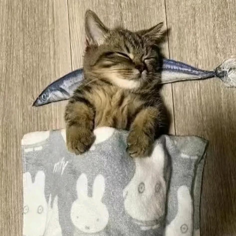 失憶猫猫虫
