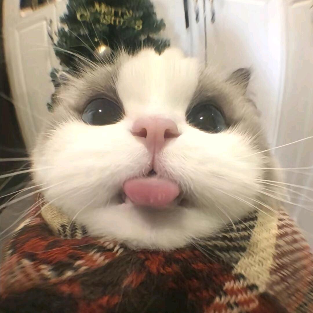 神志与弃疗