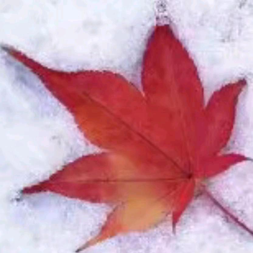 ᥫᦸᐝℳ一ঞ颗ঞ糖💕꧔ꦿ᭄࿐ᩚ