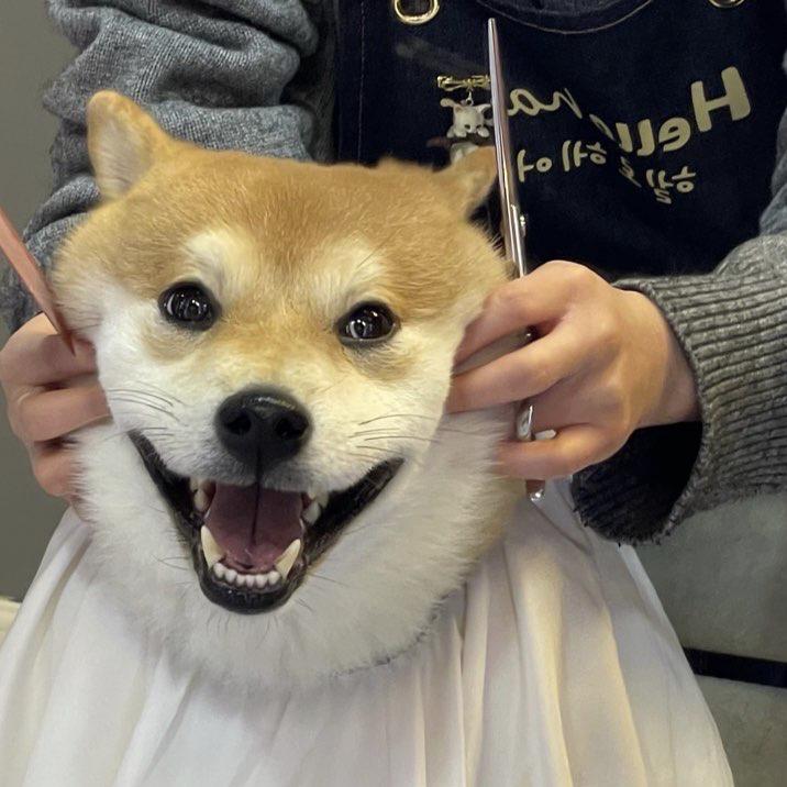 这个驰驰