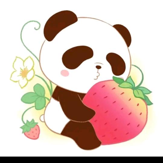 熊猫🐼🐼🐼
