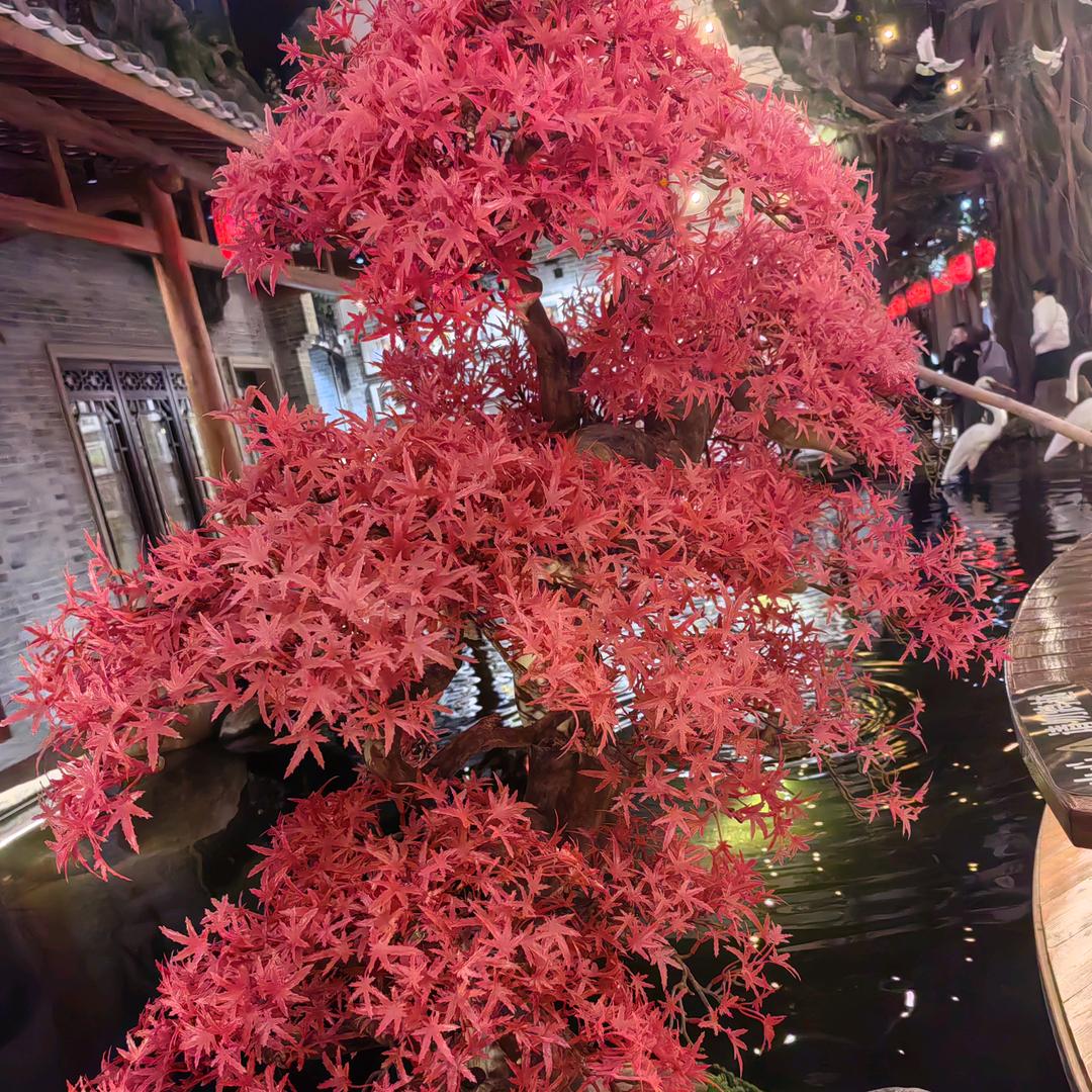 人生若只如初见英