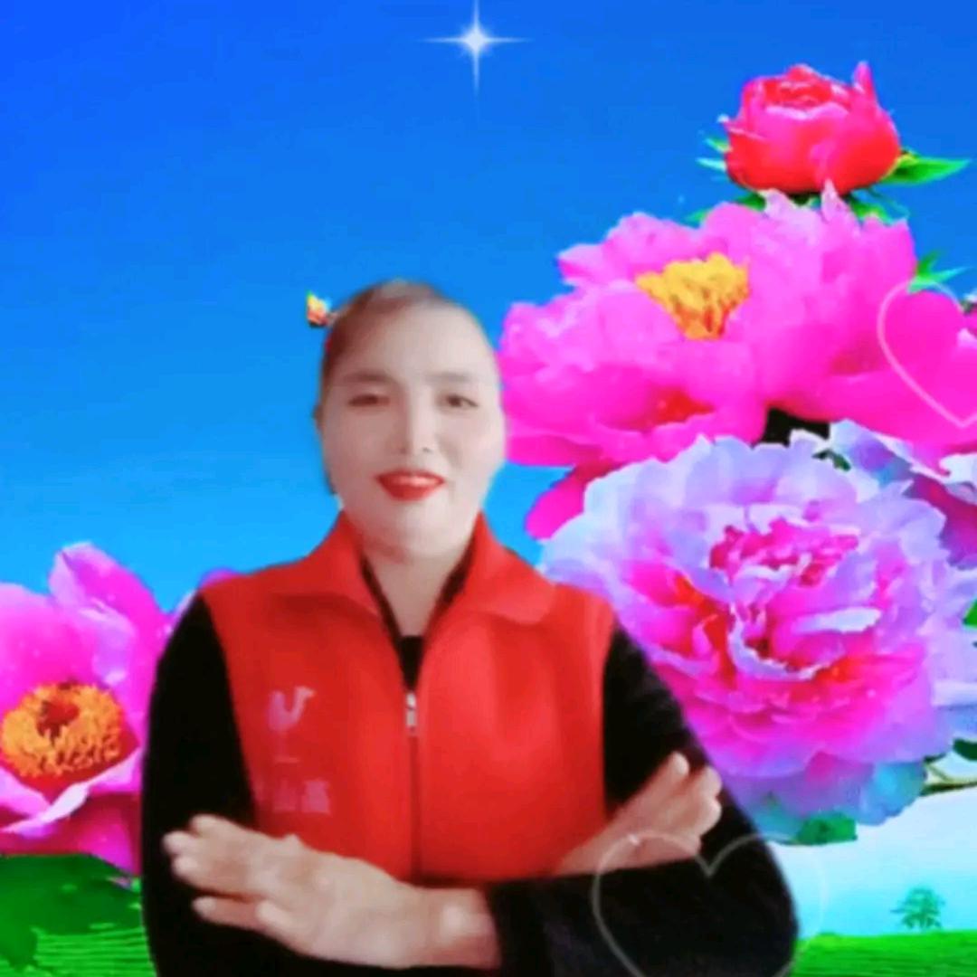 用户，兰花