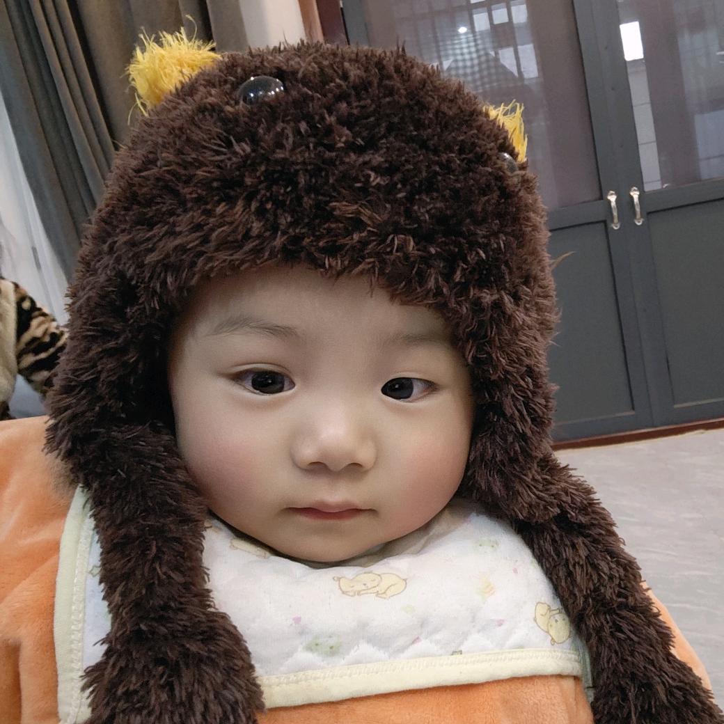 毛蛋儿