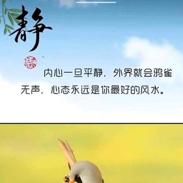咏咏