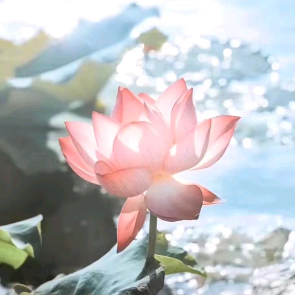 鼎峰法考
