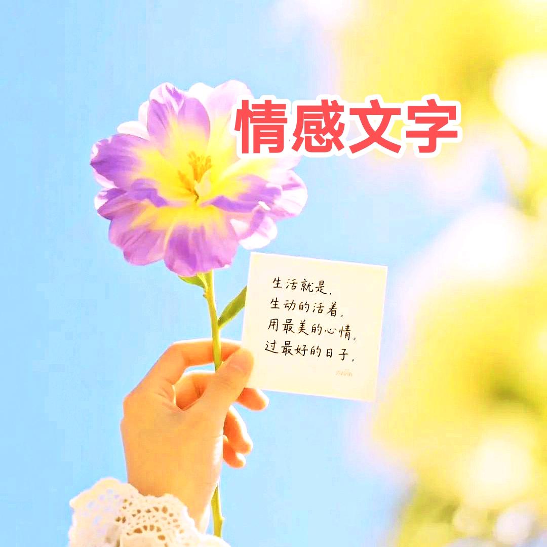 情感文字♥