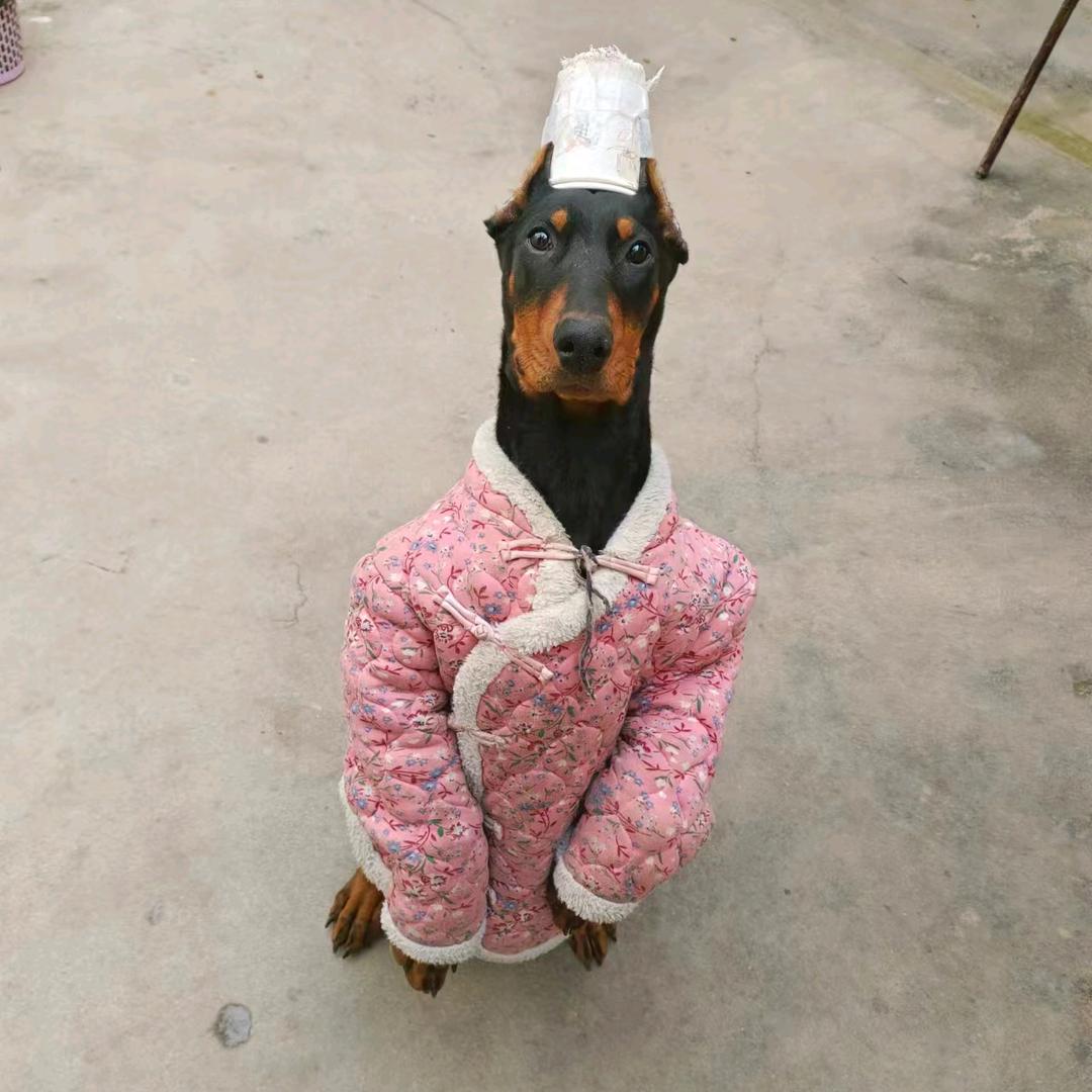 阿林