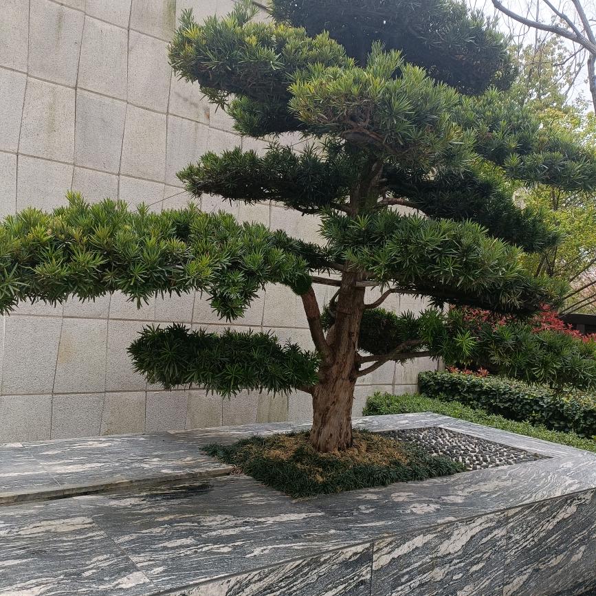 @沉默