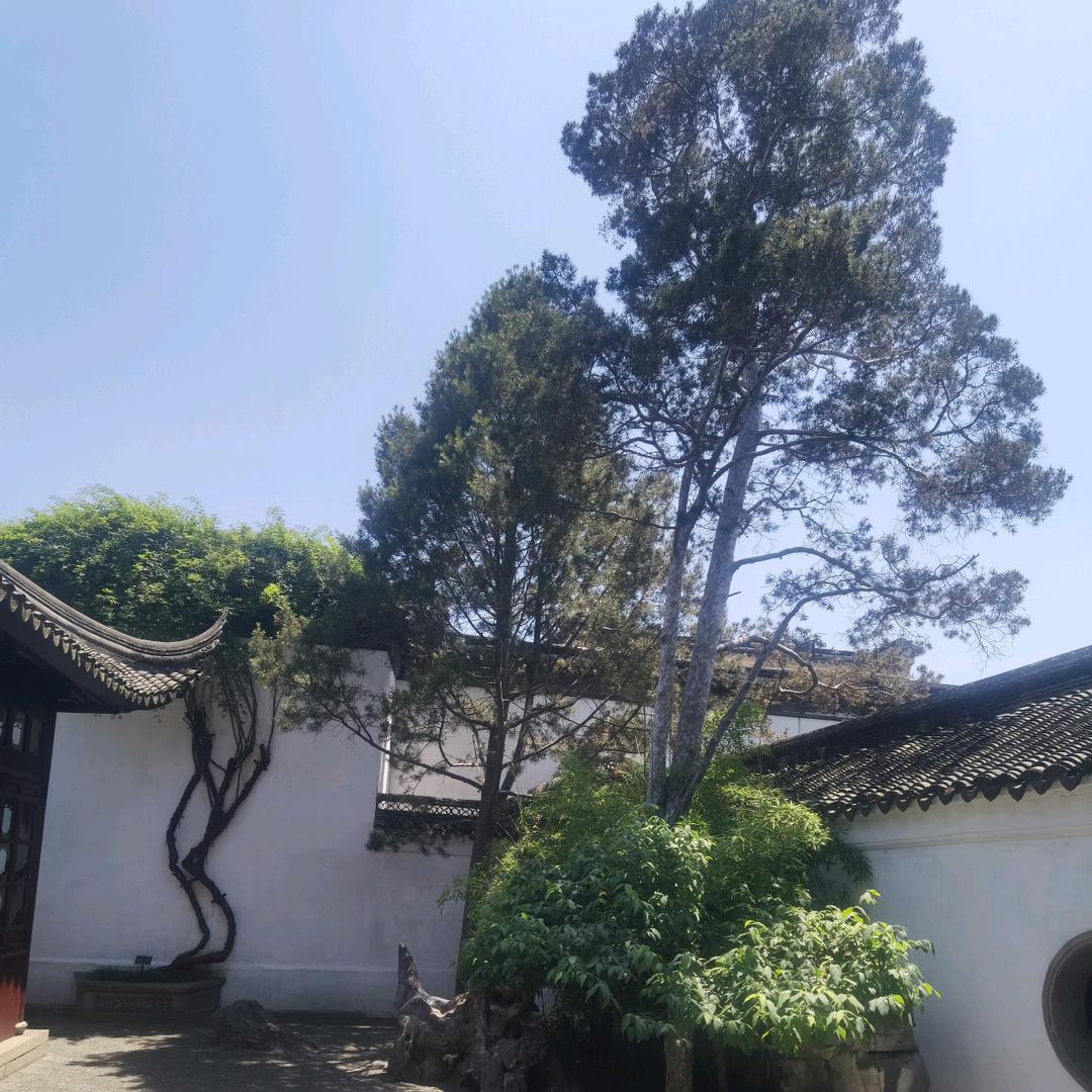 辰