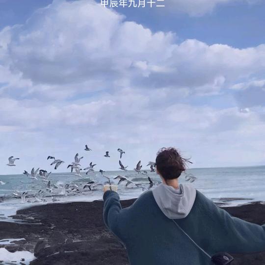 朴实无华